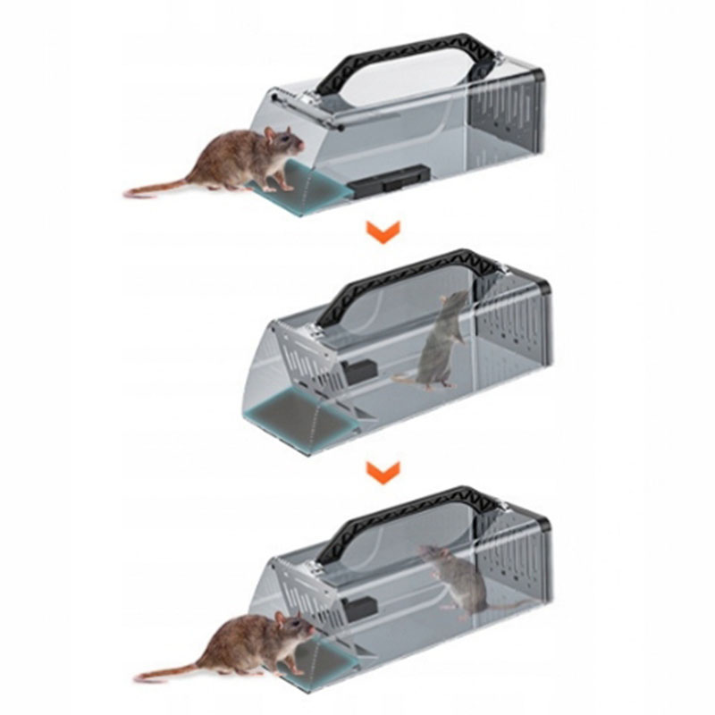 Humánna pasca na odchyt živých myši 30x12x9cm