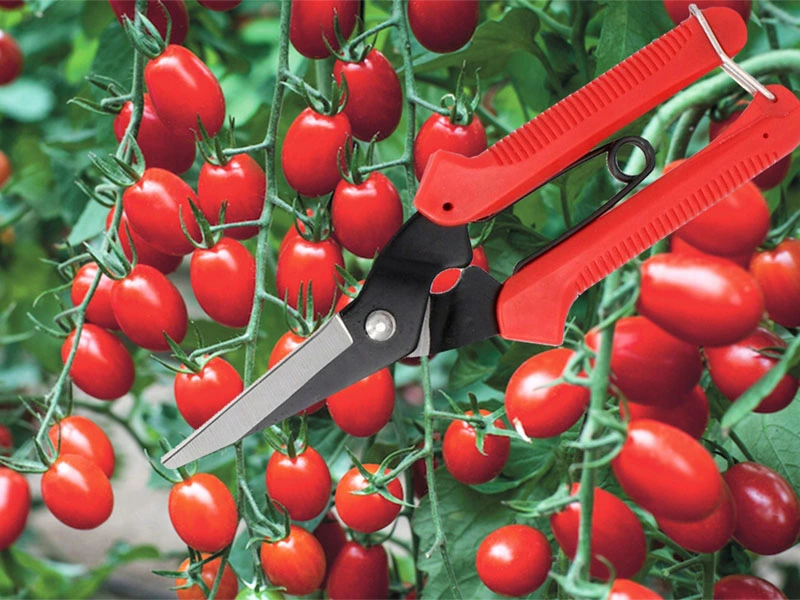 Záhradné ručné nožnice