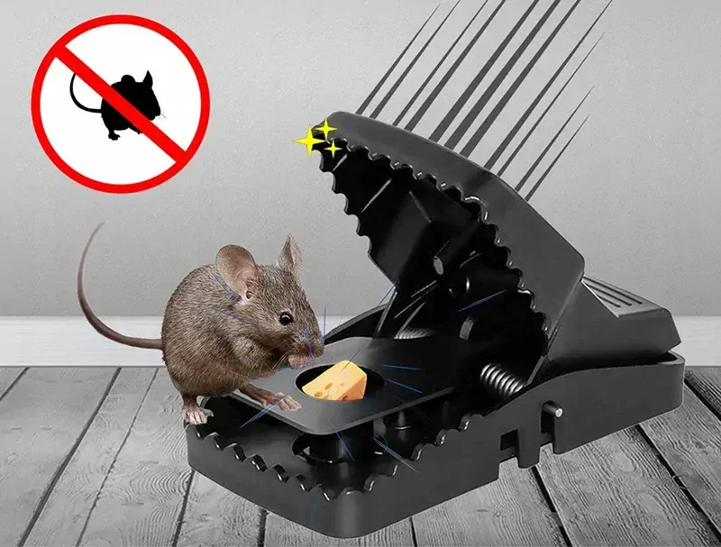 Pasca na myši a hlodavce