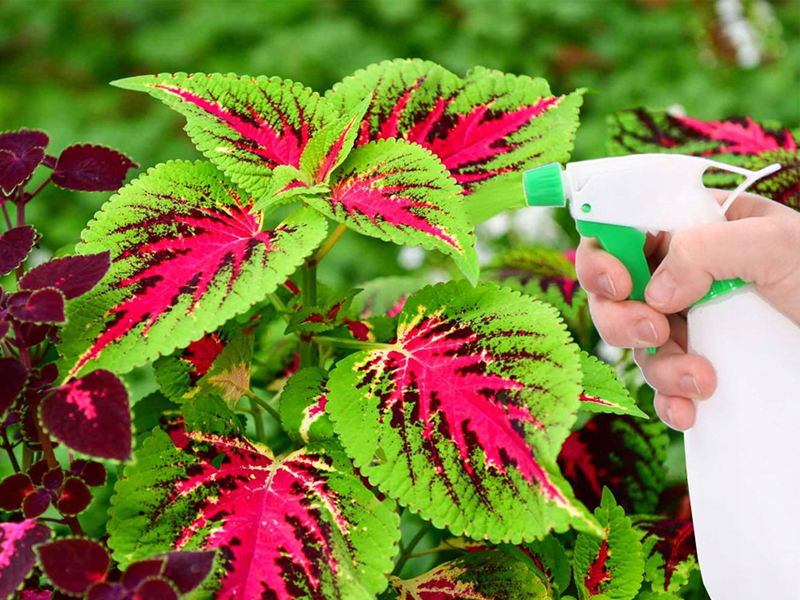 Ručný postrekovač 500ml