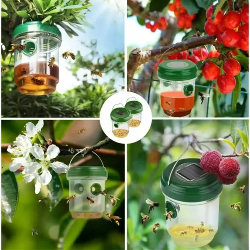 Solárny lapač hmyzu