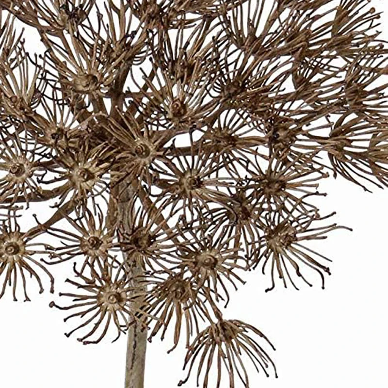 Umelý kvet Boľševník (Heracleum) 80cm