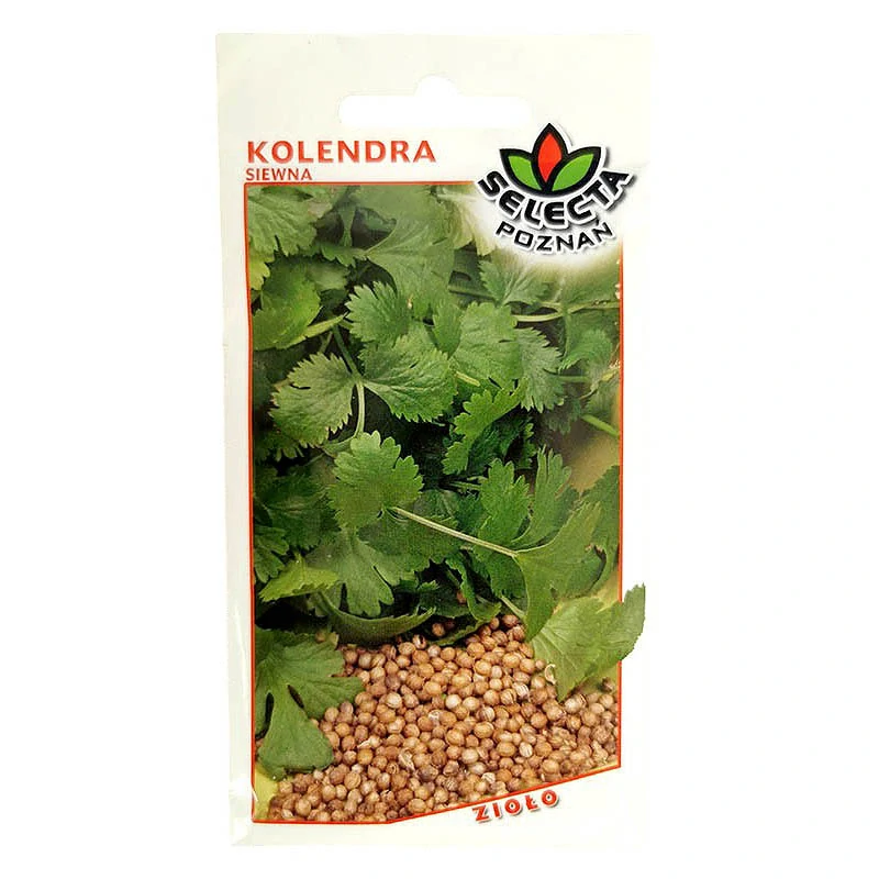 Koriander siaty bylina - 2g