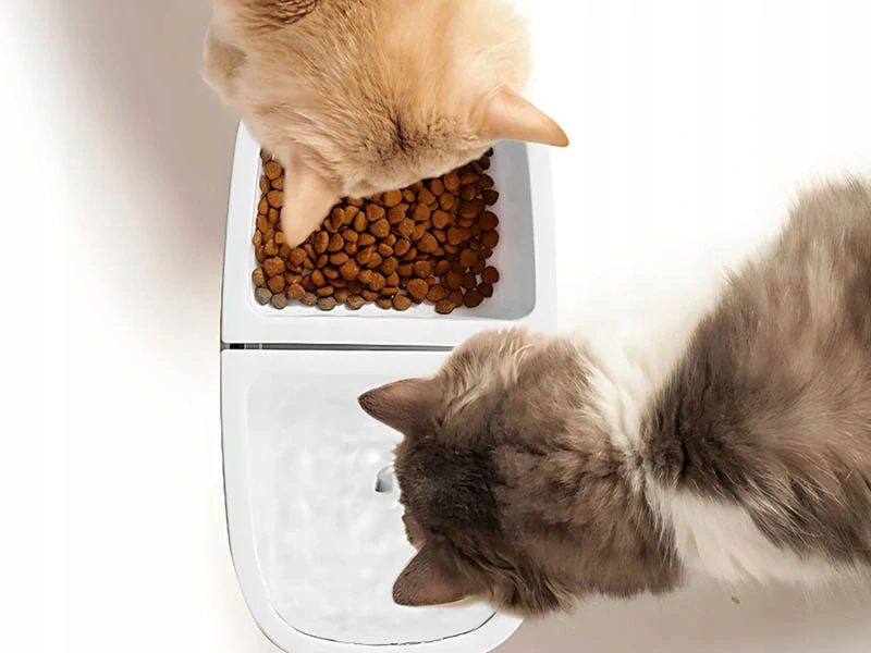 Miska pre psa a mačku s fontánkou