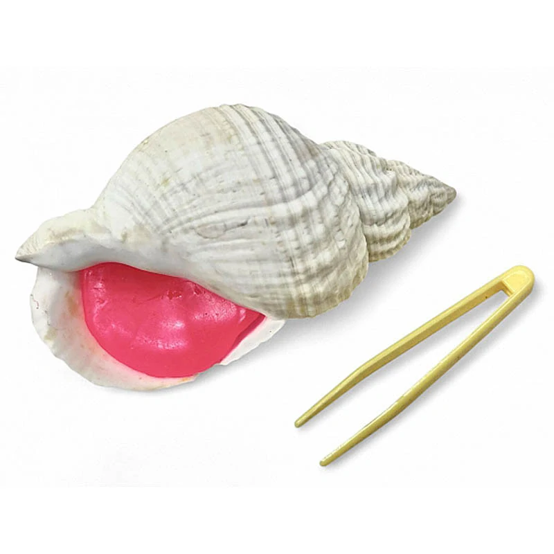 Antistresová hračka mušľa s gélovou výplňou – relax a zábava pre deti aj dospelých