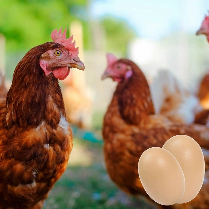 Plastové podkladové vajce pod sliepku 1ks