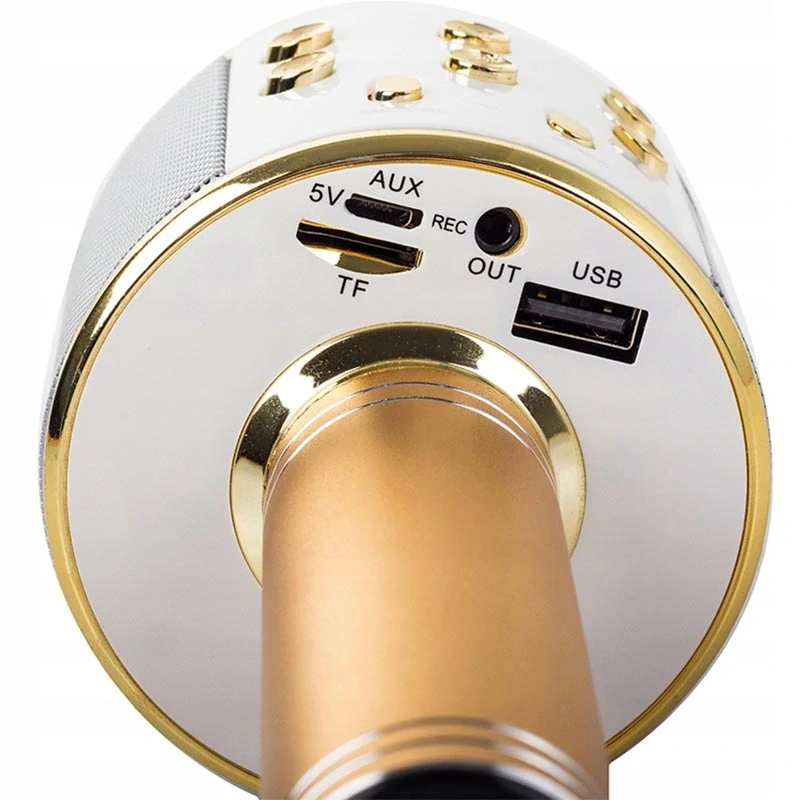 Karaoke mikrofón s puzdrom zlatá