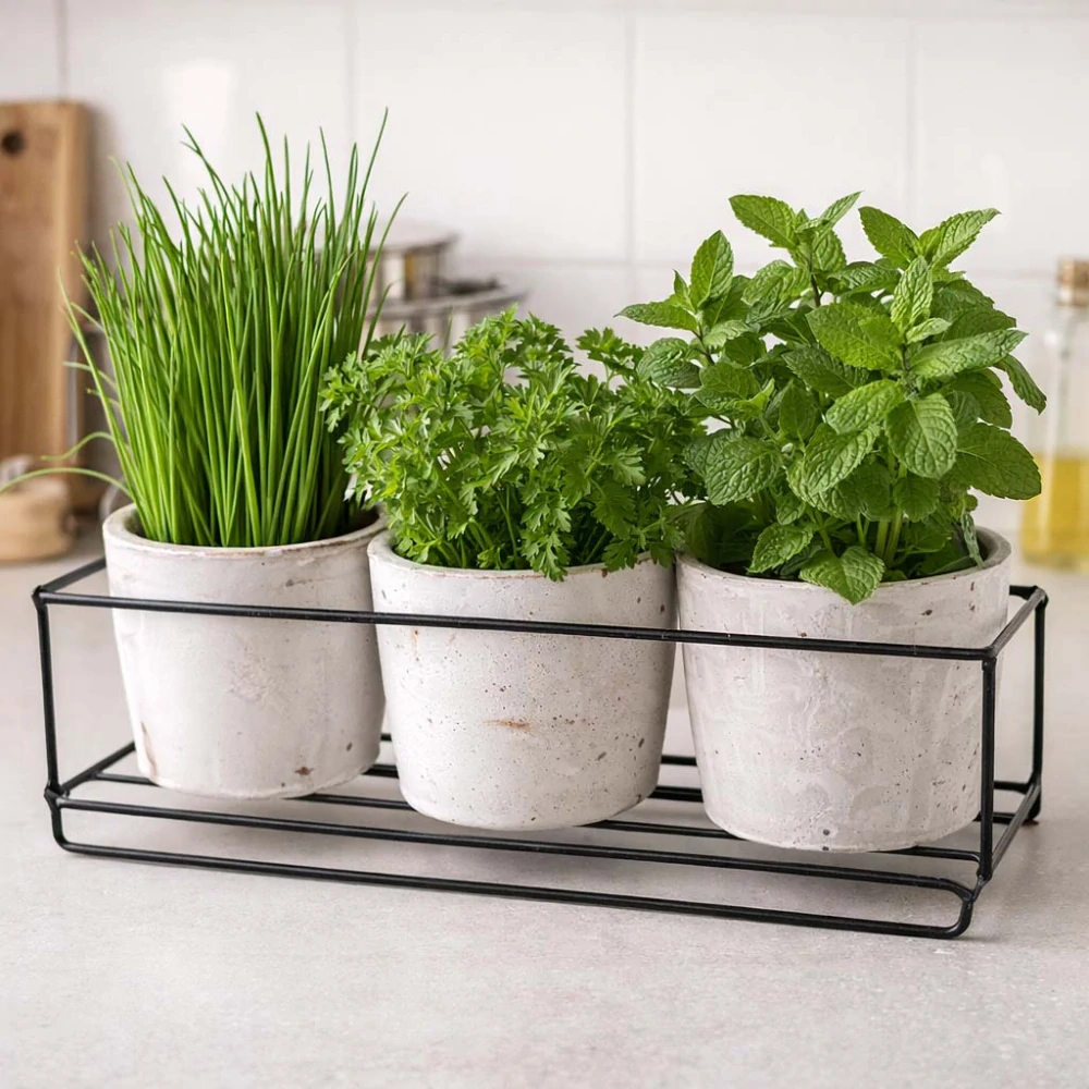 Kvetináče na bylinky so stojanom