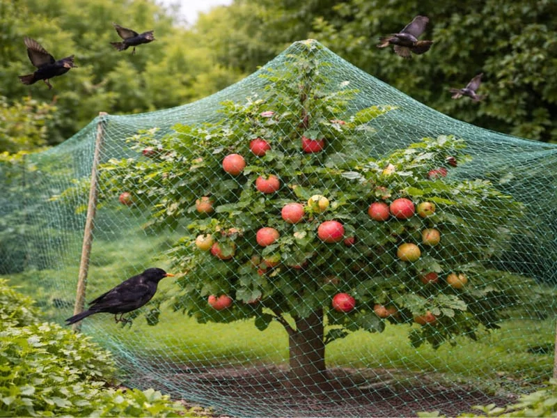 Ochranná sieť proti vtákom 2 × 5 m