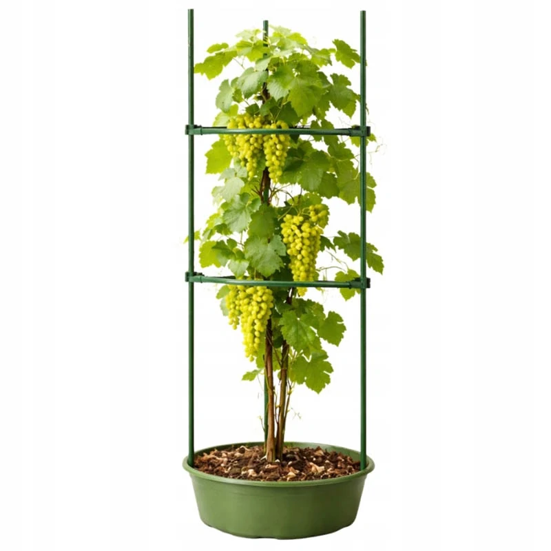Trojuholníková opora na rastliny 60 cm