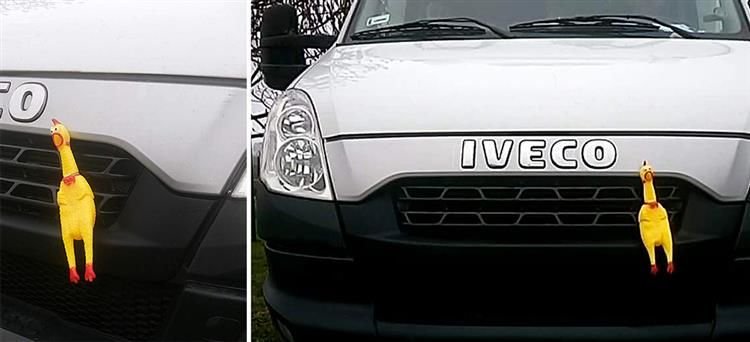 Hračka pre psa Kurča 31cm