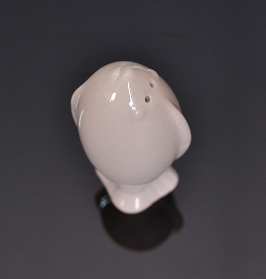 Solnička s koreničkou Ryba