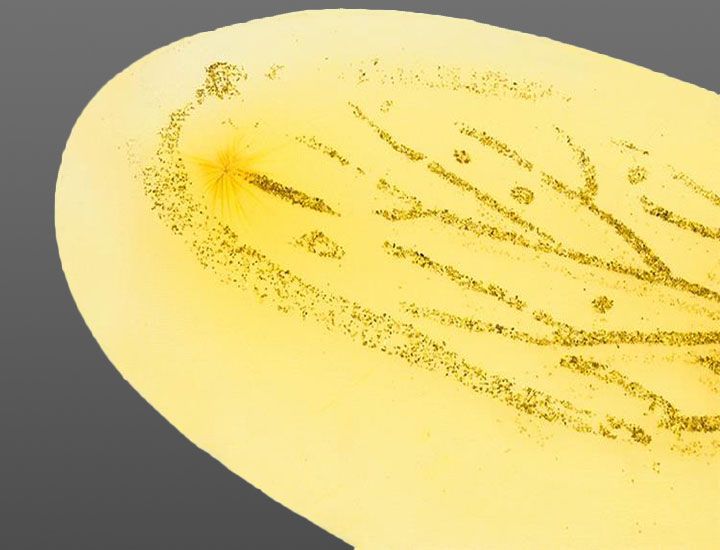 Maska kostým VČIELKA detská 