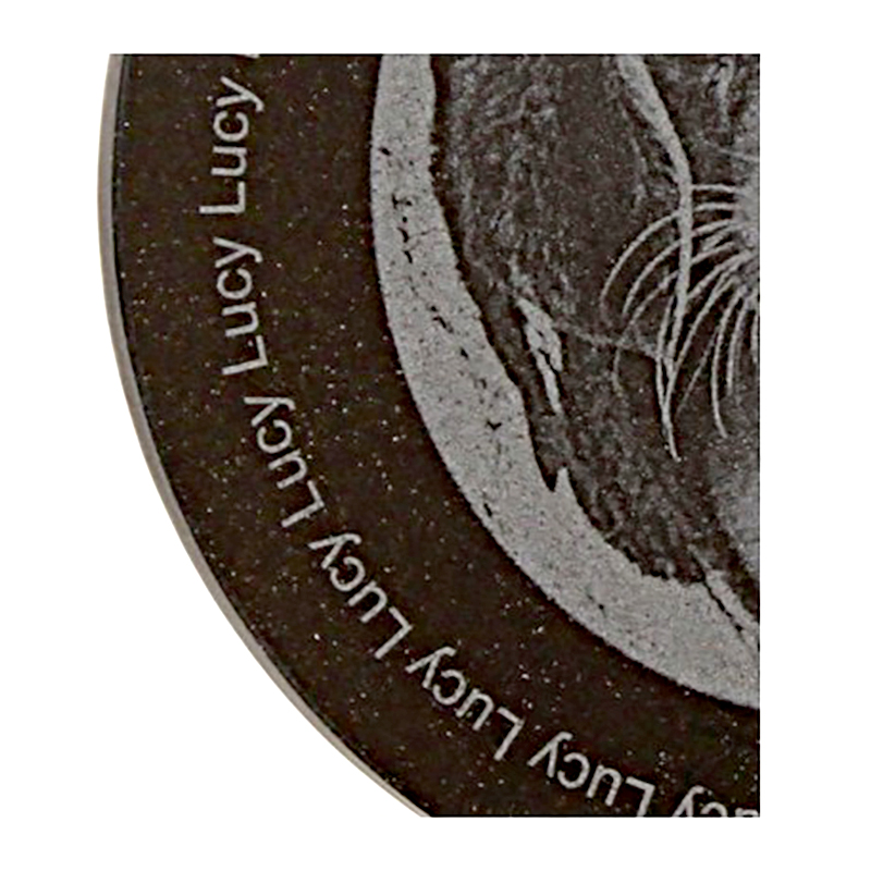 Žulová plaketa - Kruh 304mm 
