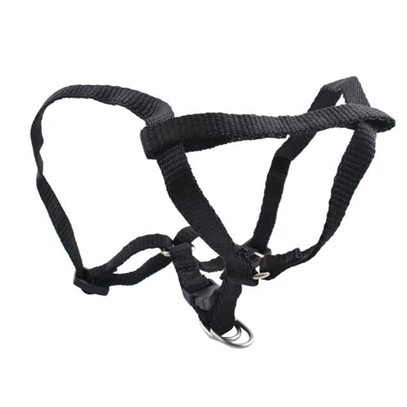 Vodítko pre psa s popruhmi 122cm