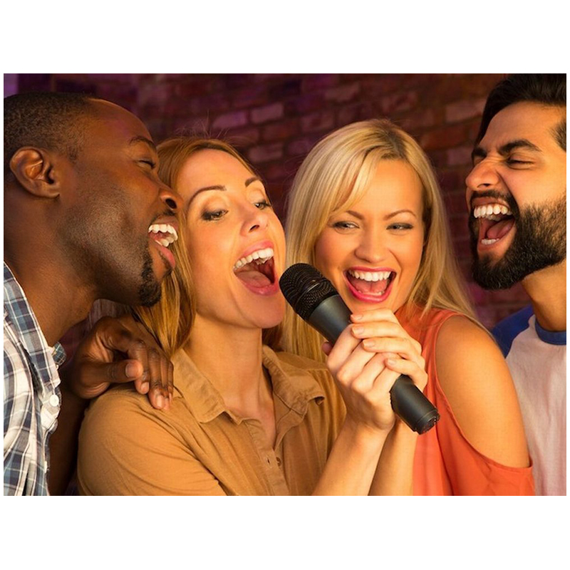 Sada Stanica karaoke + 2 mikrofóny bezšnúrové