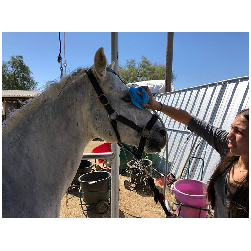 Masážna kefa na sprchovanie psa