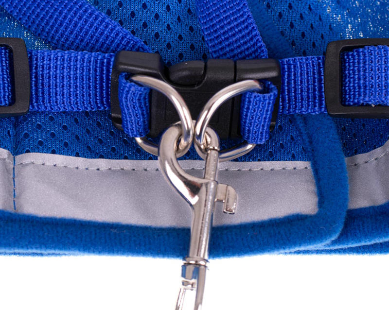 Reflexný postroj pre malých psov a mačky s vodítkom XL