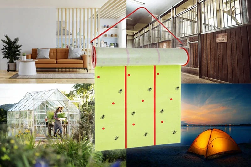 Mucholapka závesná - rolka 10m