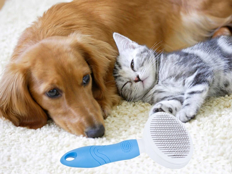 Samočistiaca kefa na srsť pre psov a mačky