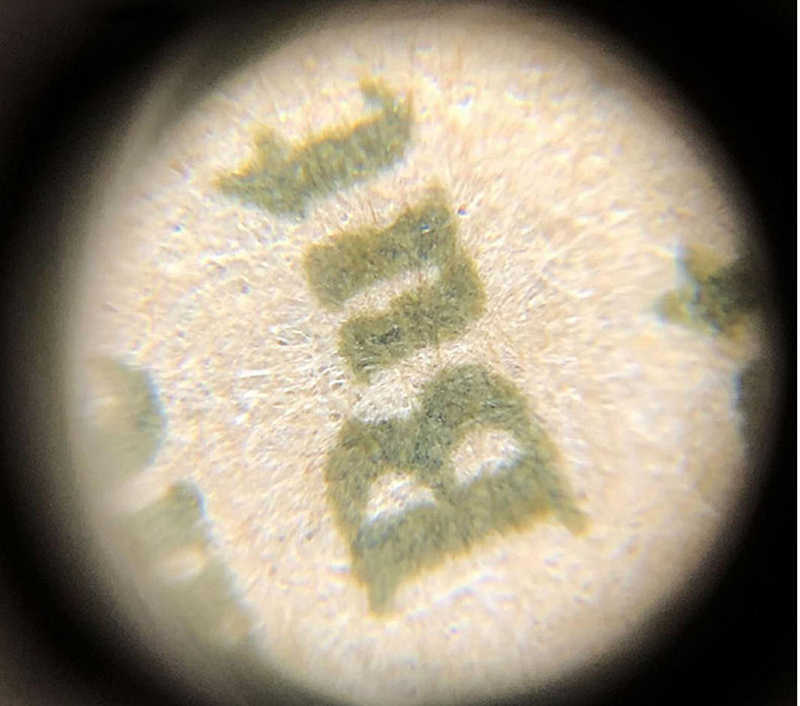 Mini mikroskop vreckový na telefón 60x MPK10-CL60X