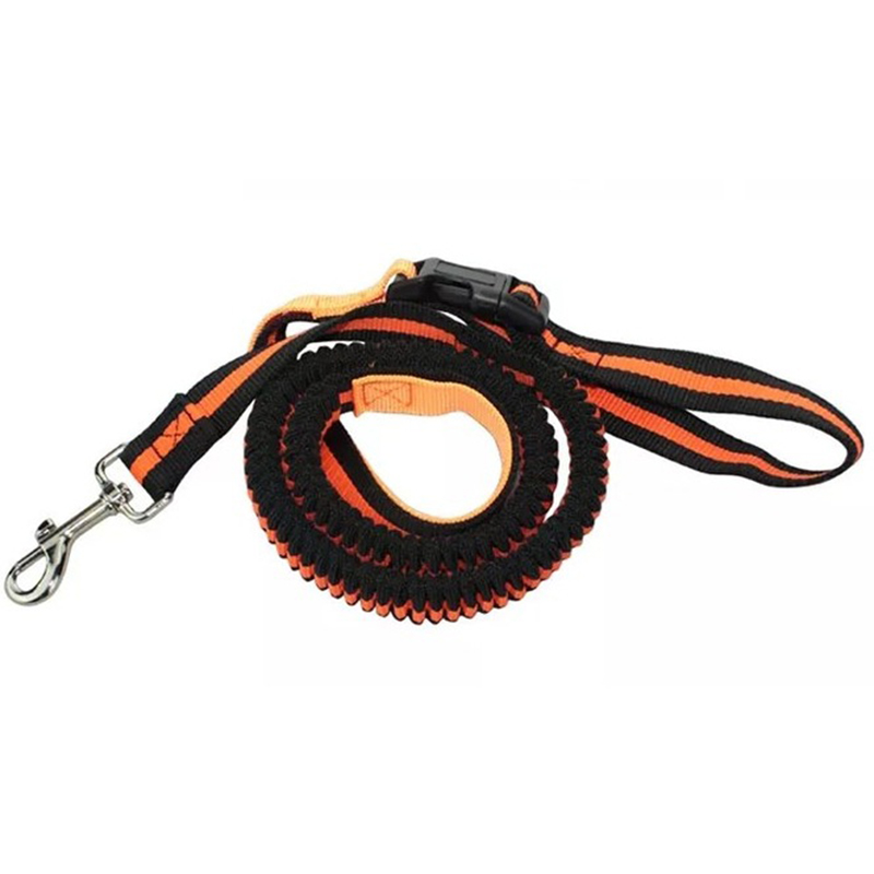 Bežecká ľadvinka s vodítkom