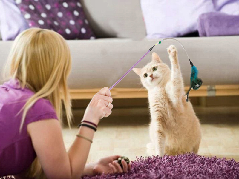Hračka pre mačku hrkálka s pierkom