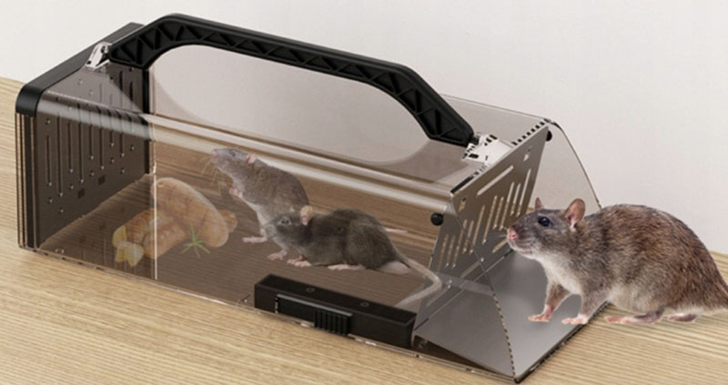 Humánna pasca na odchyt živých myši 30x12x9cm