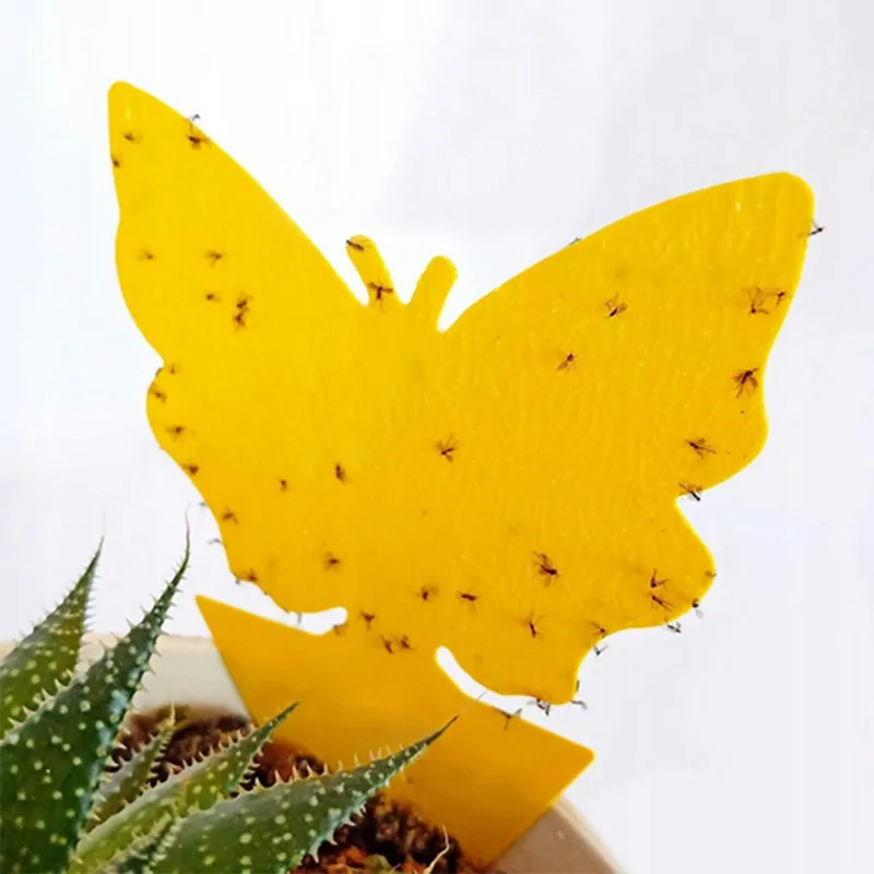 Lepiaca pasca do kvetináčov na mušky 48ks