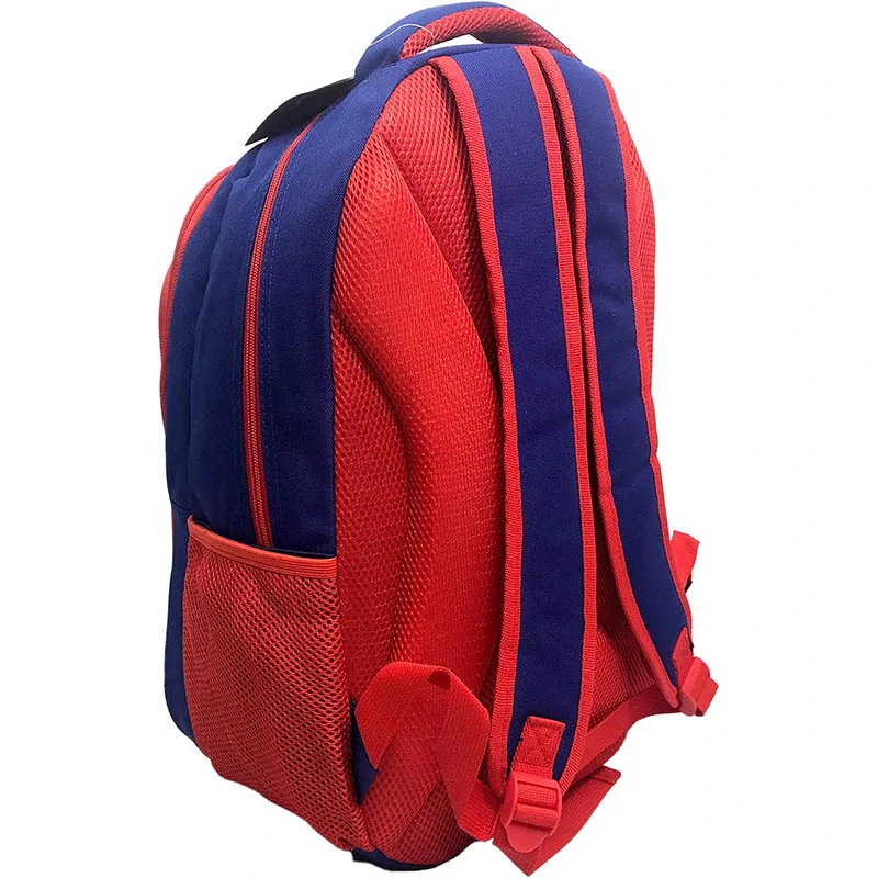 Športový batoh FIFA World Cup - France: 45 x 30 x 12cm