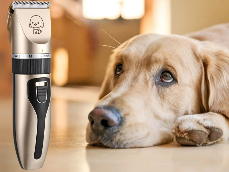 Strojček na strihanie psov a zvierat