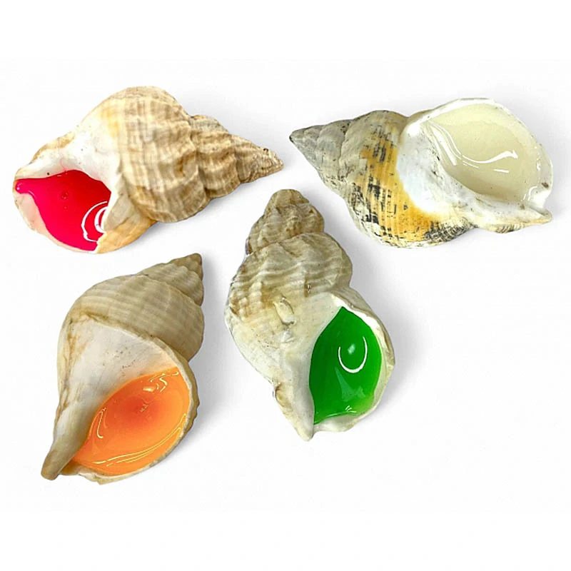 Antistresová hračka mušľa s gélovou výplňou – relax a zábava pre deti aj dospelých