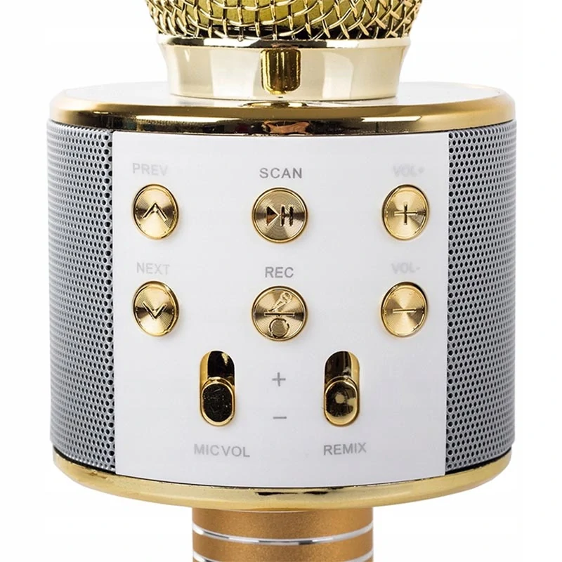 Karaoke mikrofón s puzdrom zlatá