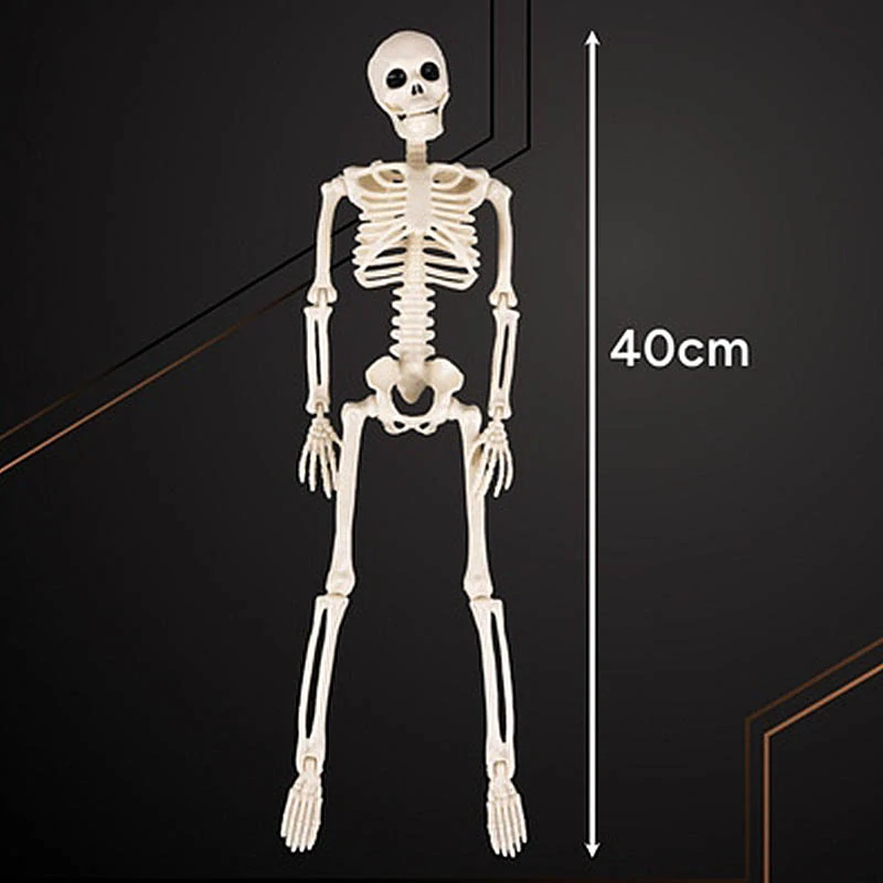Závesná dekorácia kostra 40 cm