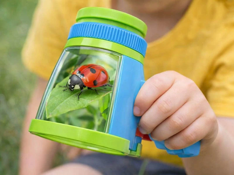 Lupa na pozorovanie hmyzu