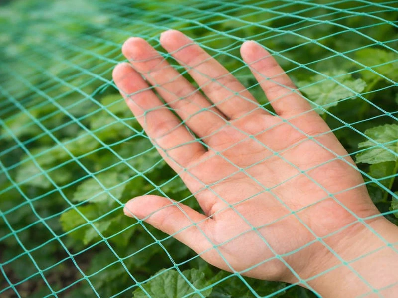 Ochranná sieť proti vtákom 2 × 10 m