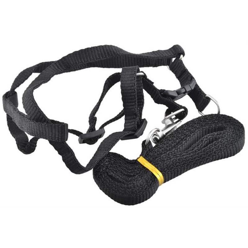 Vodítko pre psa s popruhmi 122cm