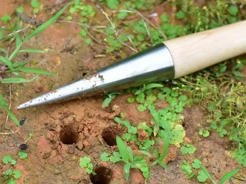 Dierovací kolík na sadenie s mierkou