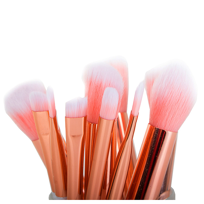 Kozmetické štetce PROFI na make up 10 ks