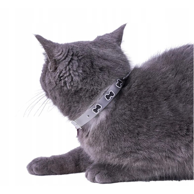 Svietiaci obojok LED pre mačku alebo psa 27cm