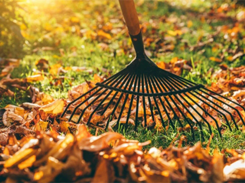 Záhradné hrable kovové 36 cm bez násady