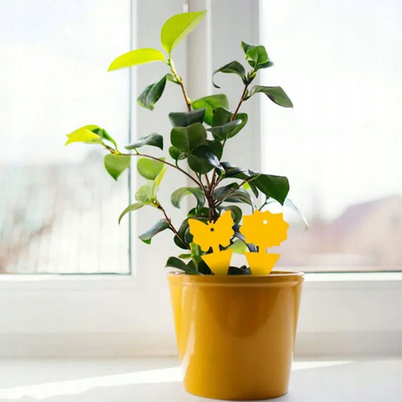 Lepiaca pasca do kvetináčov na mušky 48ks