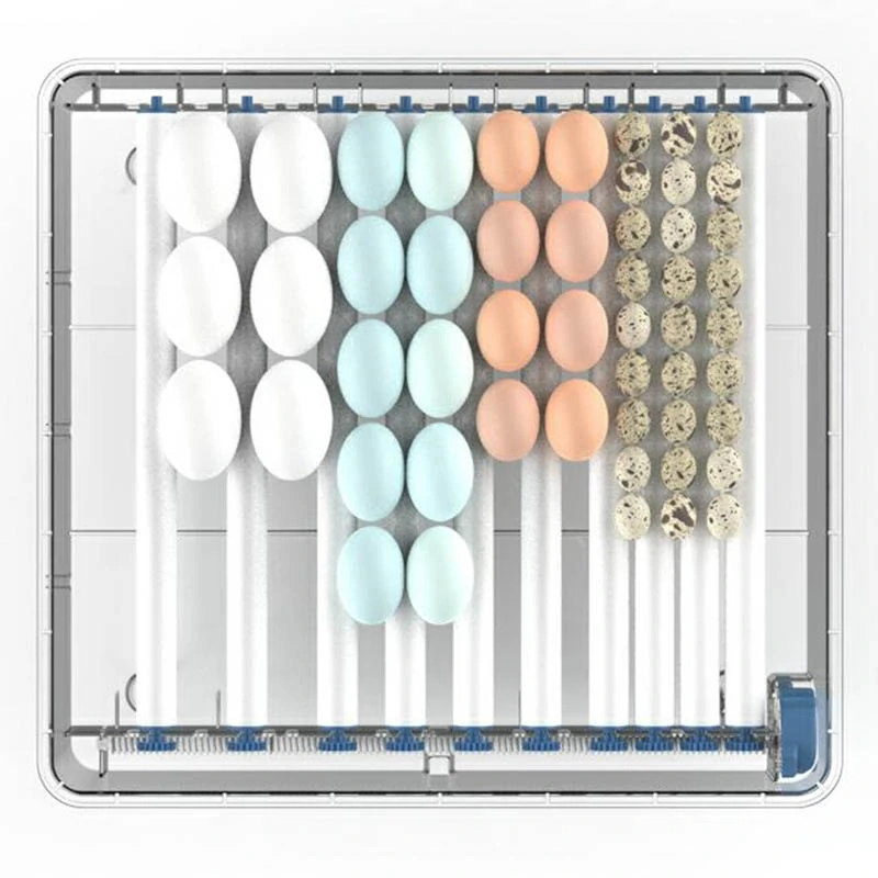 Inkubátor liaheň na 64 vajec