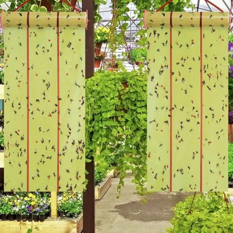 Lepová páska na muchy a lietajúci hmyz 4 m