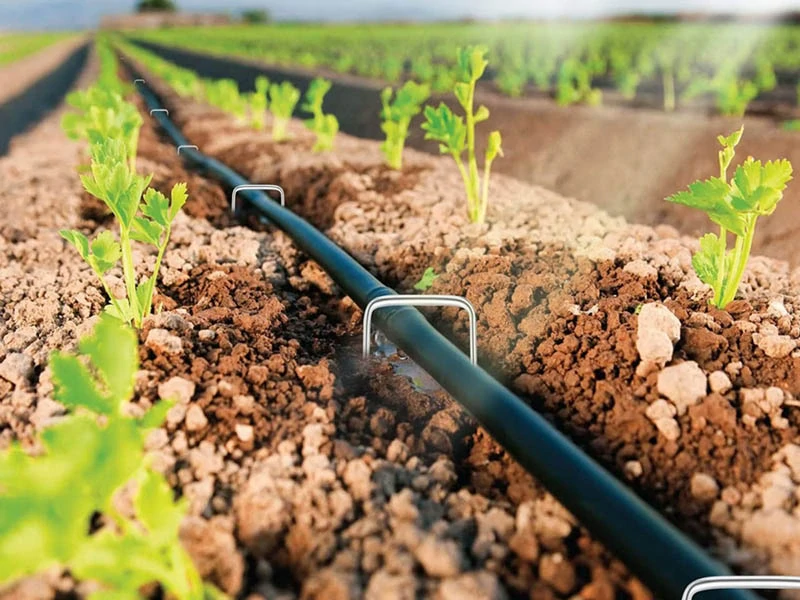 Kovové kolíky na agrotextíliu 15 cm – 10 ks