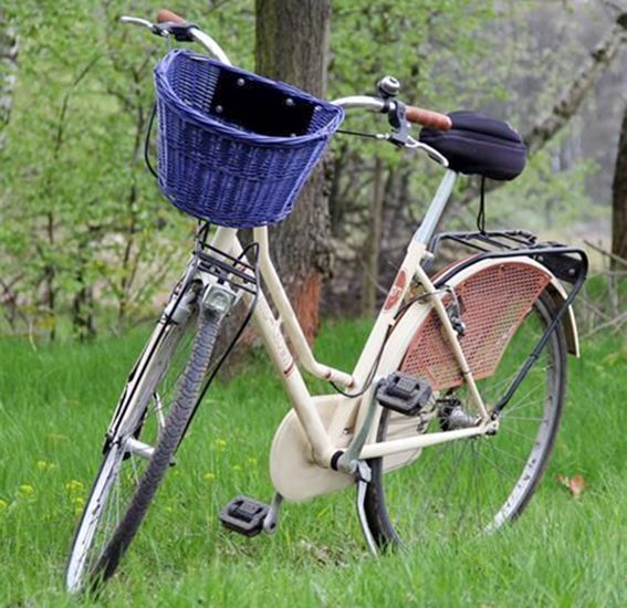 Kôš na bicykel RATAN rôzne farby