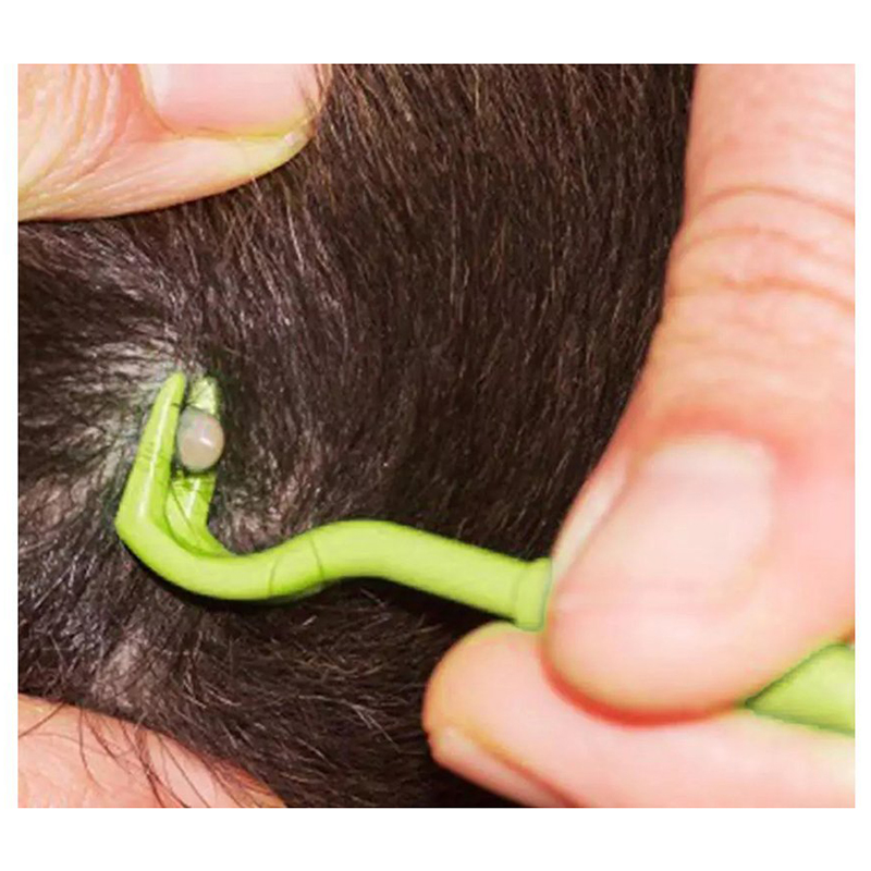 Tickster lapač kliešťov 3kusy