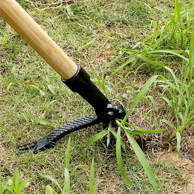 Odstraňovač buriny