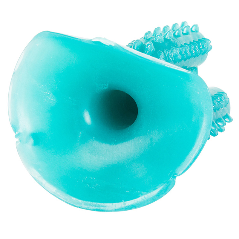 Hračka pre psa na hryzenie Kaktus