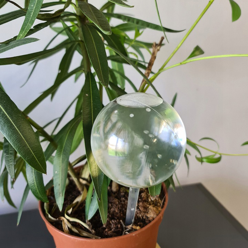 Zavlažovacie gule do kvetináča 8ks Gardlov